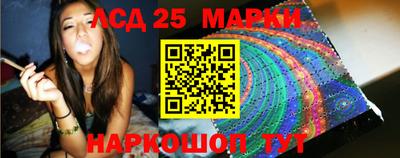 гидропоника Чебоксары