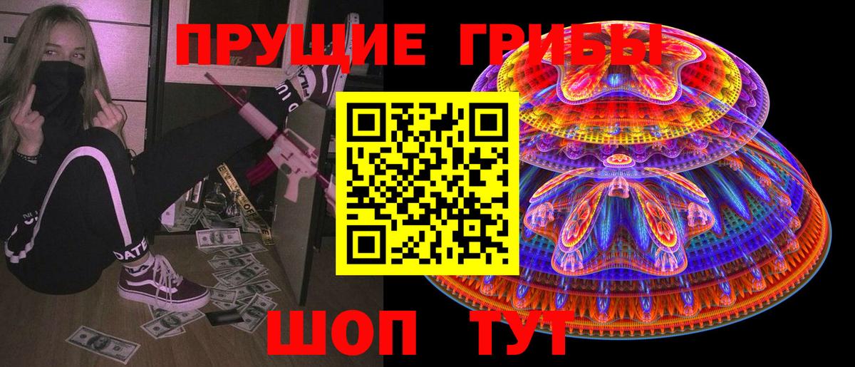 Псилоцибиновые грибы Psilocybe Лесозаводск