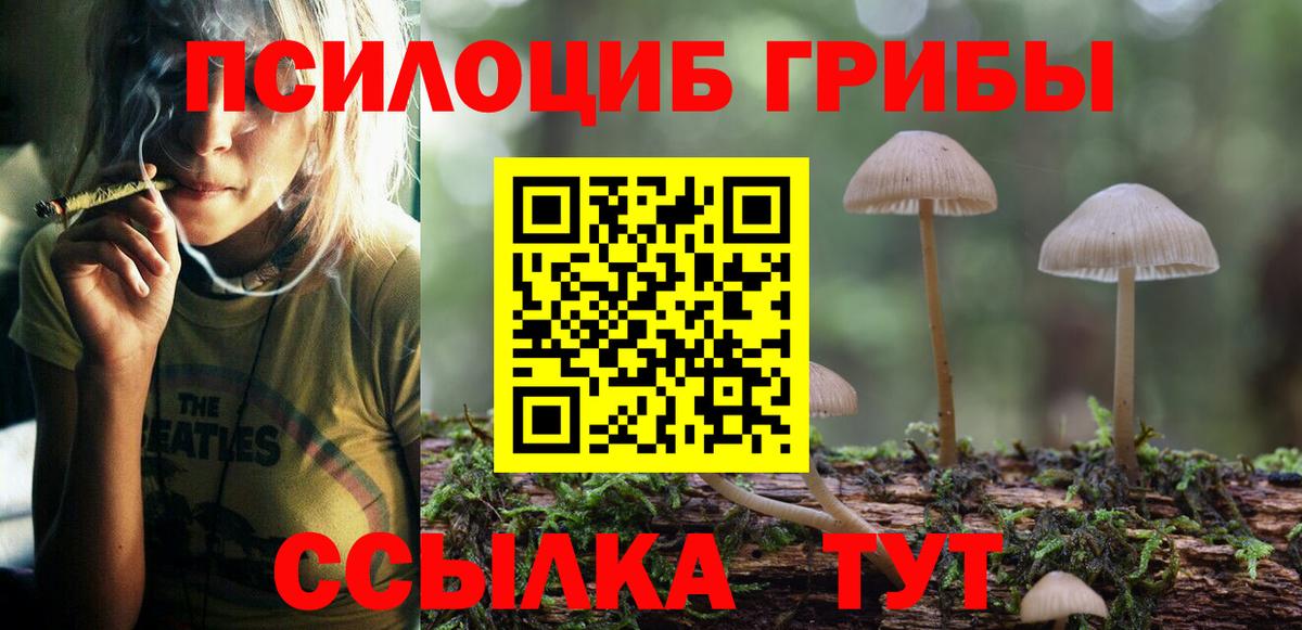 Псилоцибиновые грибы Psilocybe  как найти закладки  Лесозаводск  Галлюциногенные грибы Psilocybe  Вход с VPN 